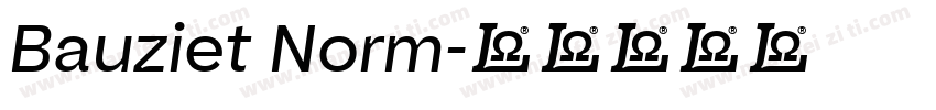 Bauziet Norm字体转换
